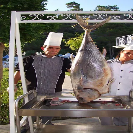 Hotel Golden Sunset Hotel&spa 5*