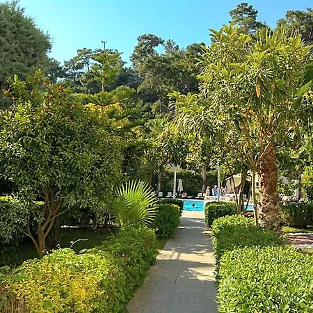Hotel Golden Sunset Hotel&spa 5*