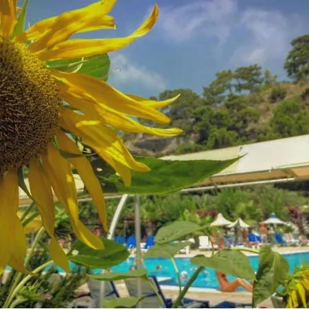 Golden Sunset Hotel&spa