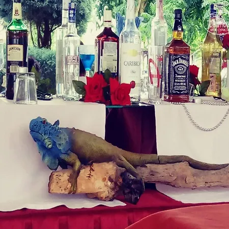 Golden Sunset Hotel&spa 5*